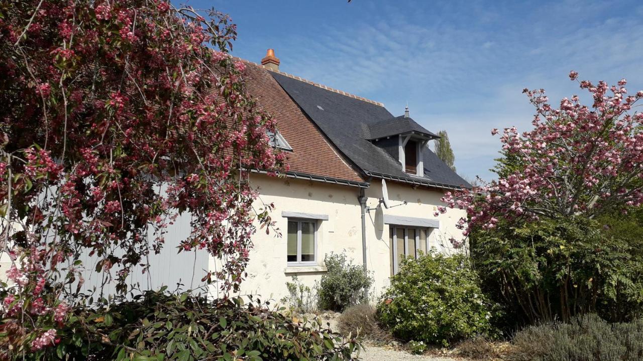 Gite La Fortaiserie Rille Ngoại thất bức ảnh